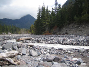 Nisqually River